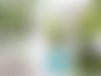 Grow Your Blog Community